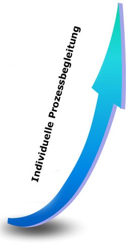Individuelle Prozessbegleitung Individuelle Prozessbegleitung