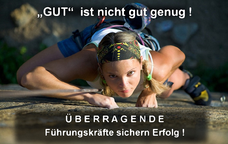 Gut ist nicht gut genug
